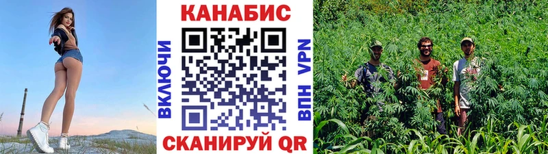 МЕФ Гусев