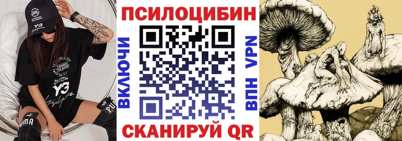 где продают наркотики  Гусев  Галлюциногенные грибы Cubensis 